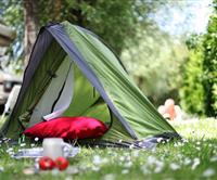 Tent pitch at les Genêts campsite in Sarzeau