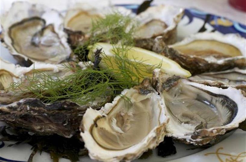 Taste oysters from the Gulf of Morbihan