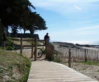 Hiking & cycling nearby the sea