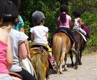 Horse ride to visit the Rhuys Peninsula