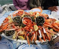 Seafood platter on live from Brittany