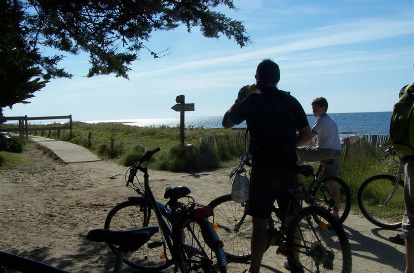 Pedal on the cycle paths of the Rhuys peninsula