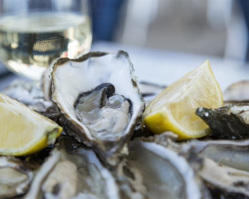 Oysters of Morbihan & Brittany