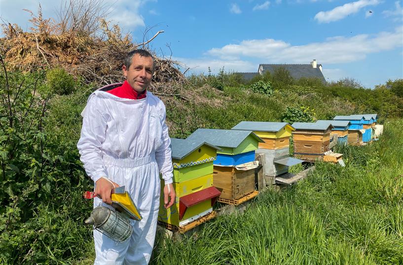 Olivier's apiary