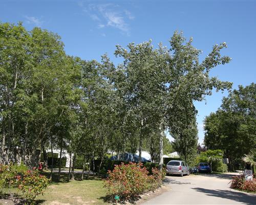Pitch for tent or caravan in Sarzeau